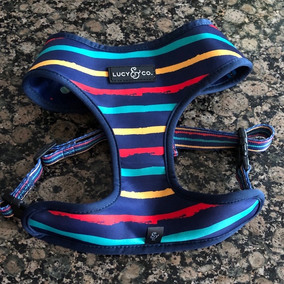 Lucy & Co. Other - Lucy & Co. Space Doodle Reversible Harness in Gently used condition!